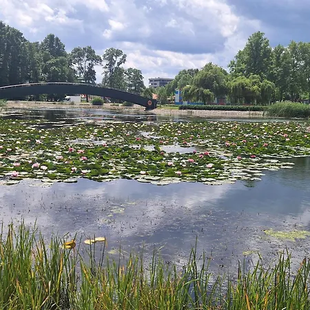 Apartament Manna Wellness *