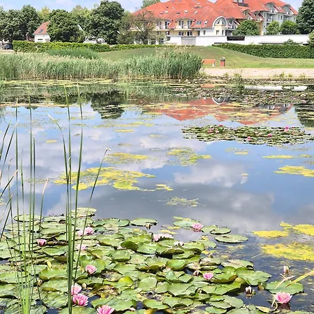 Manna Wellness 公寓 *