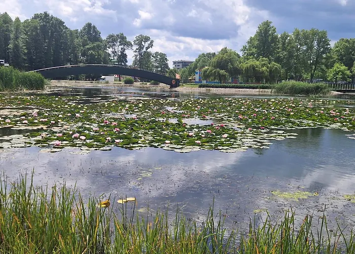 Apartament Manna Wellness *